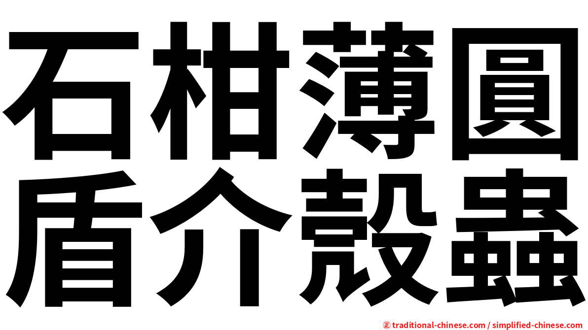 石柑薄圓盾介殼蟲