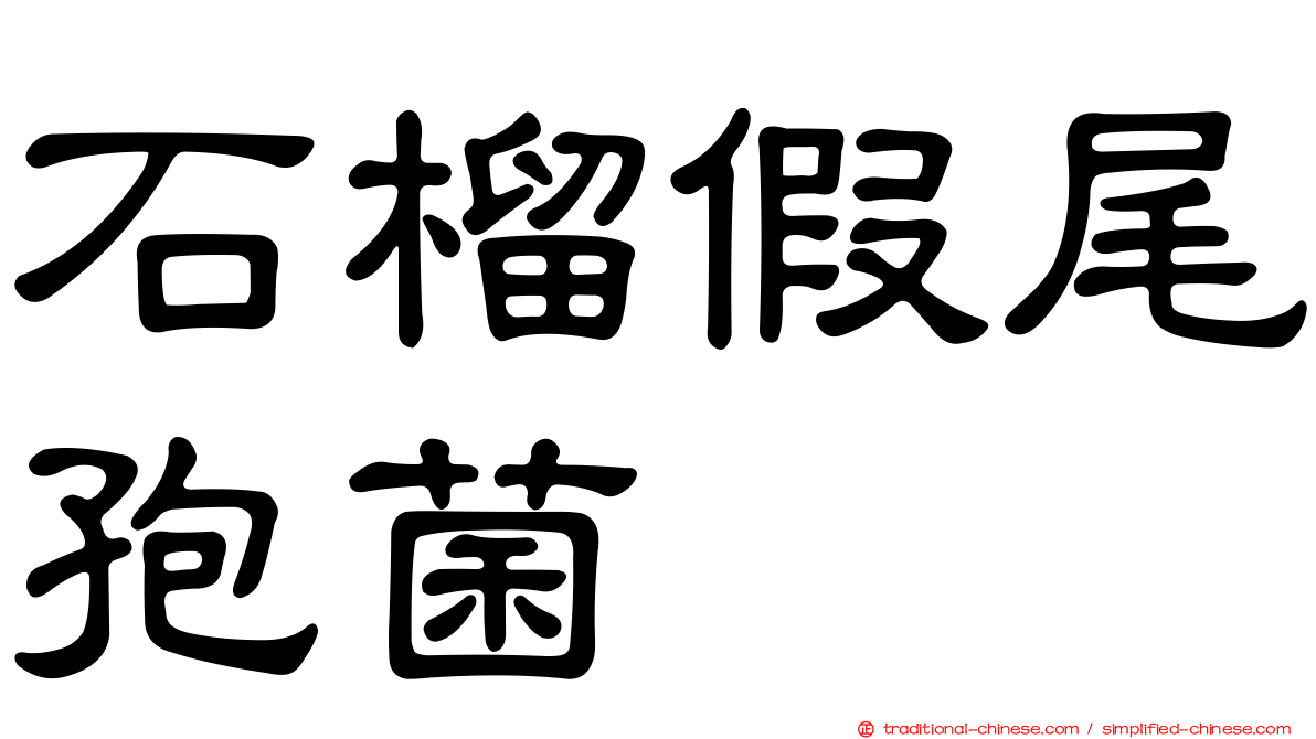 石榴假尾孢菌