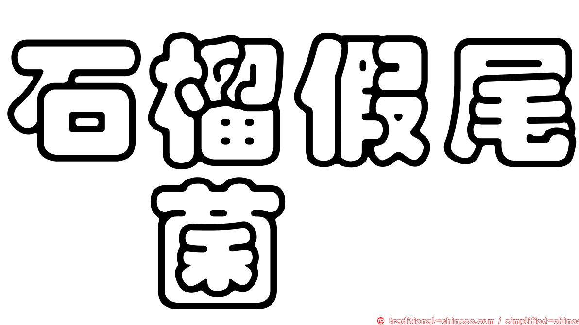 石榴假尾孢菌