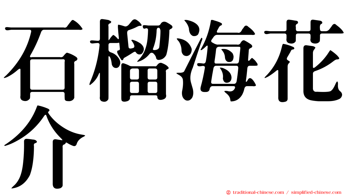 石榴海花介