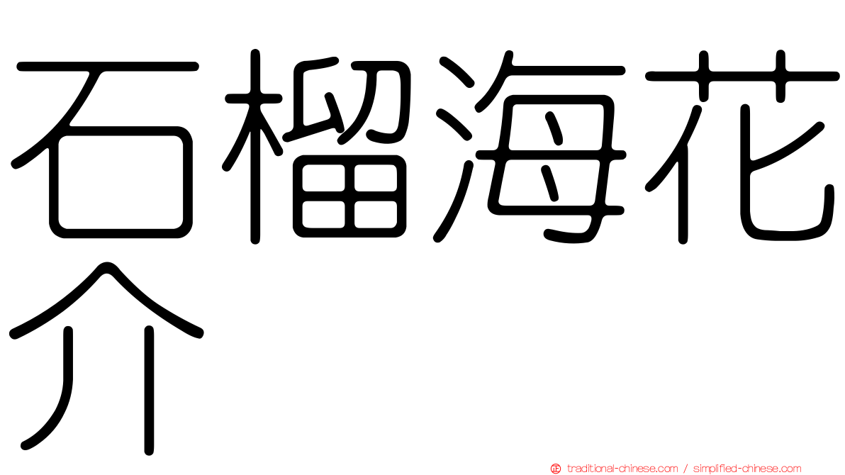 石榴海花介