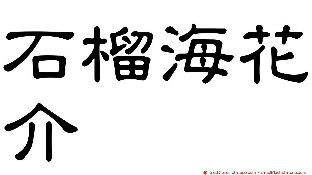 石榴海花介