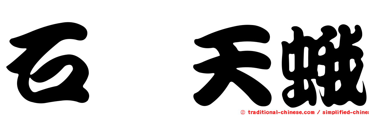石櫟天蛾