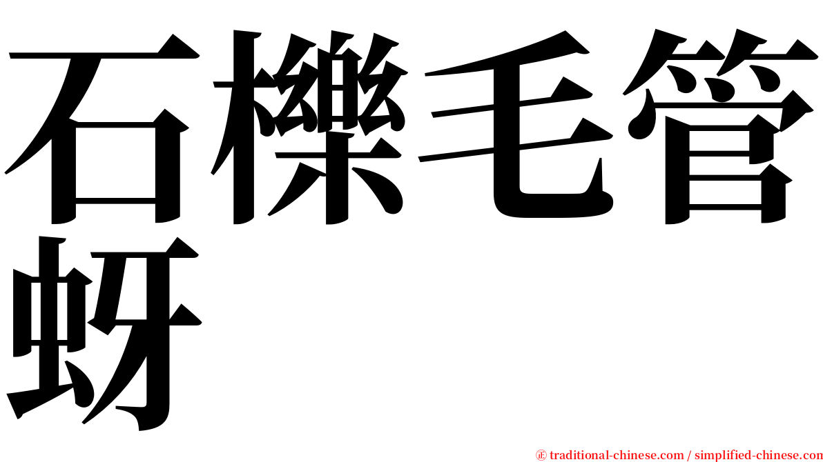 石櫟毛管蚜 serif font