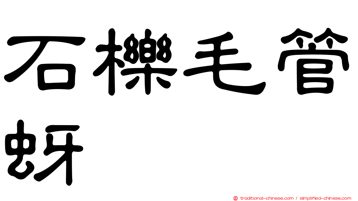 石櫟毛管蚜