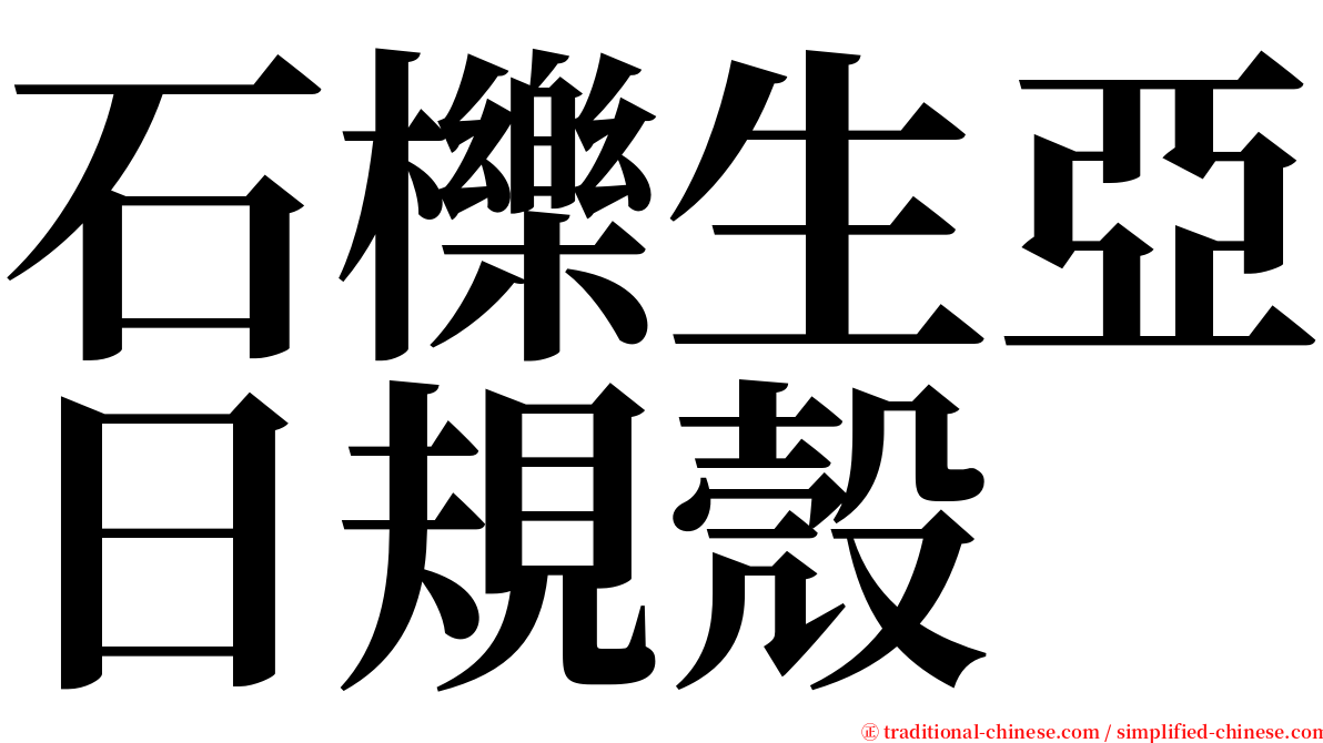 石櫟生亞日規殼 serif font