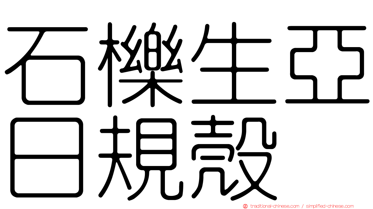 石櫟生亞日規殼