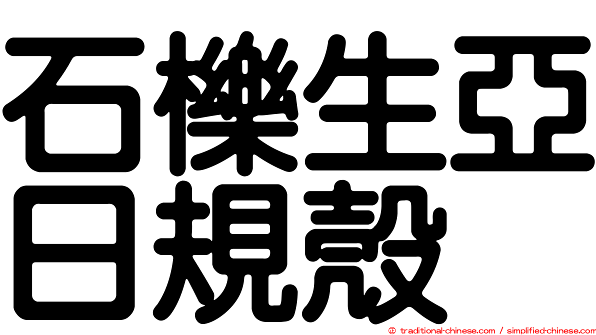 石櫟生亞日規殼