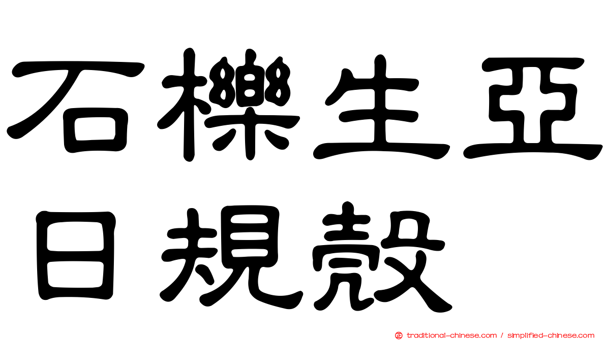 石櫟生亞日規殼