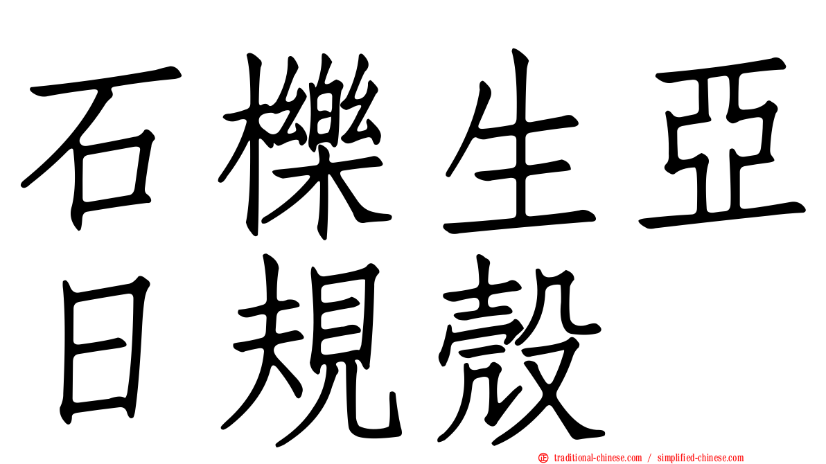 石櫟生亞日規殼