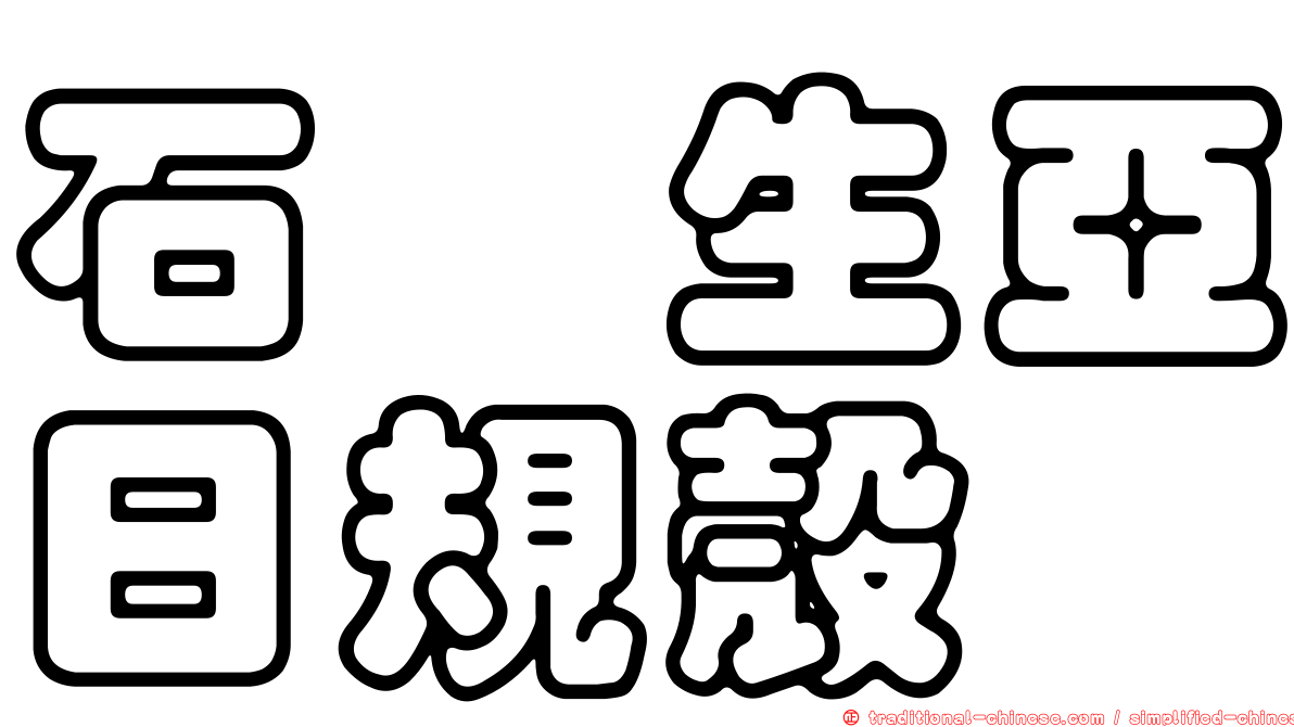 石櫟生亞日規殼