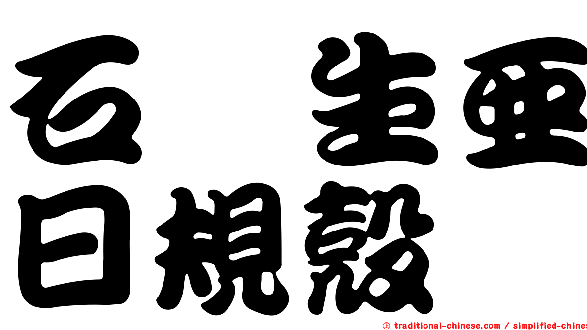 石櫟生亞日規殼