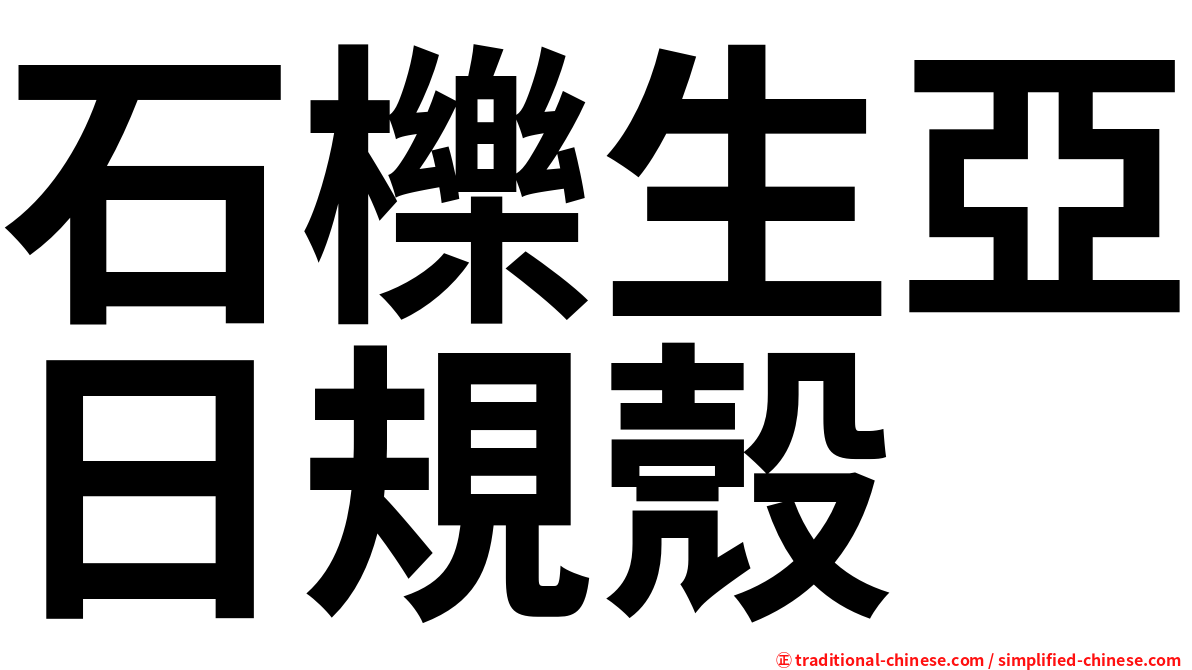 石櫟生亞日規殼
