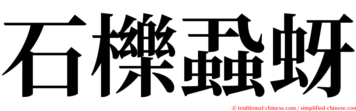 石櫟蝨蚜 serif font