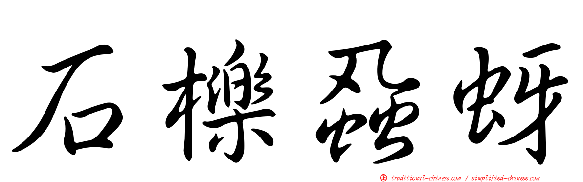 石櫟蝨蚜