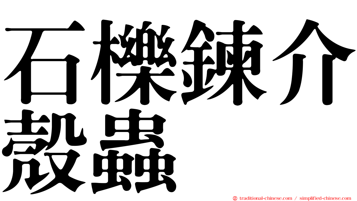石櫟鍊介殼蟲