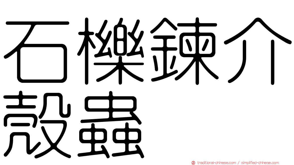 石櫟鍊介殼蟲