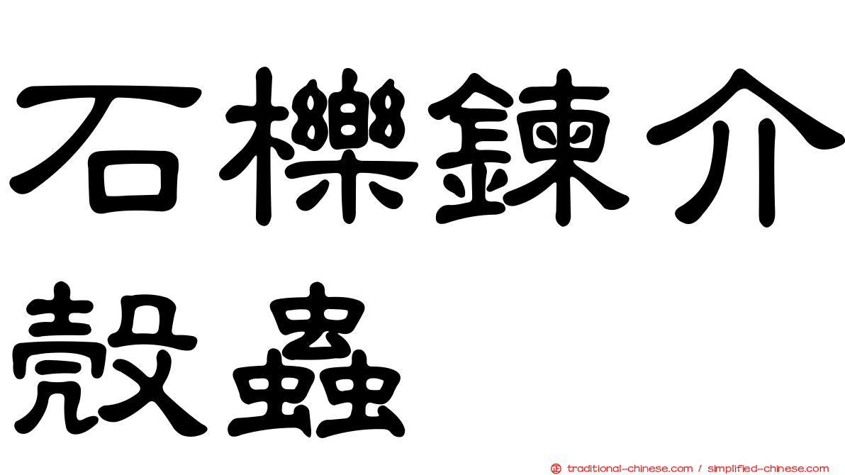 石櫟鍊介殼蟲