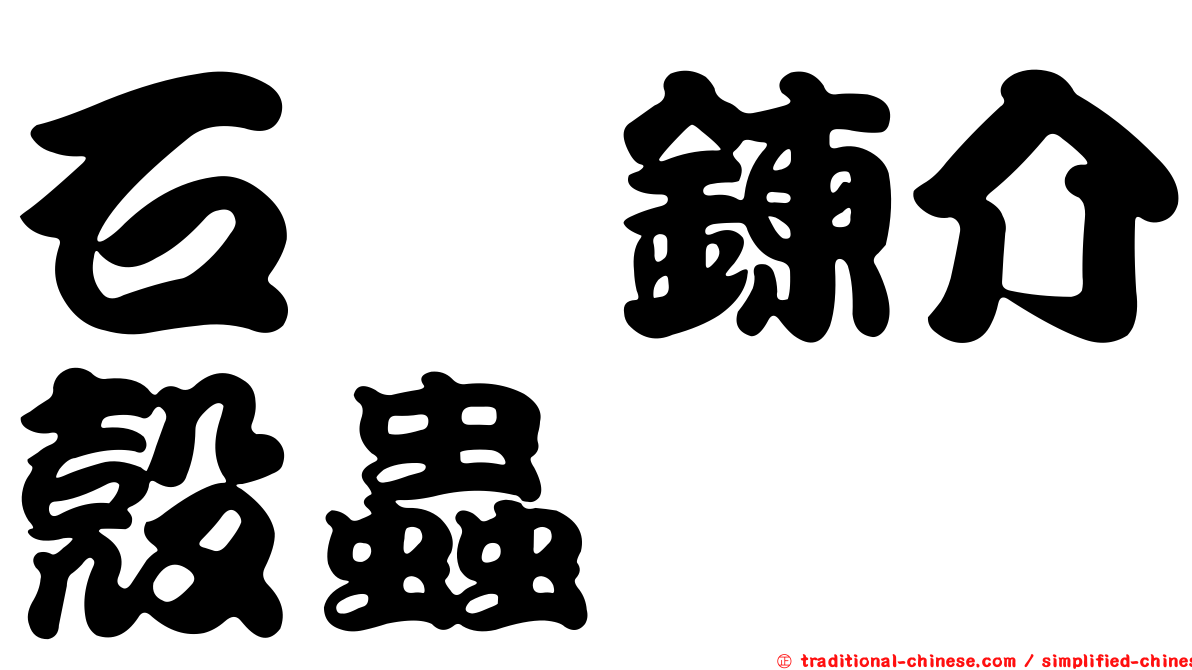 石櫟鍊介殼蟲
