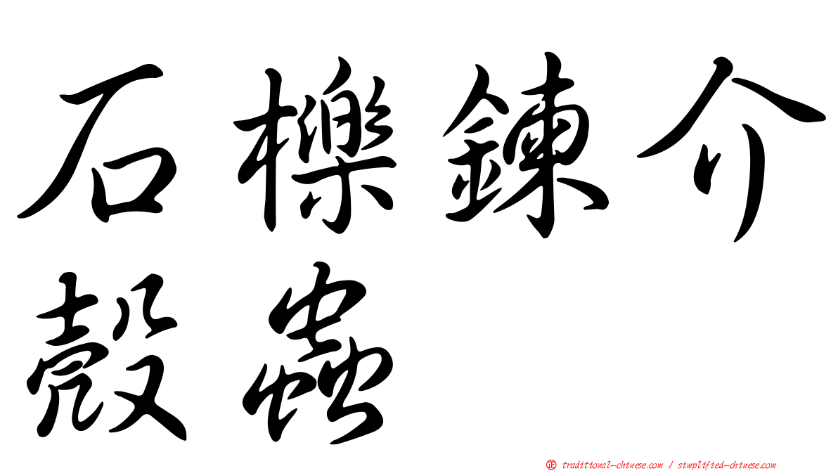 石櫟鍊介殼蟲