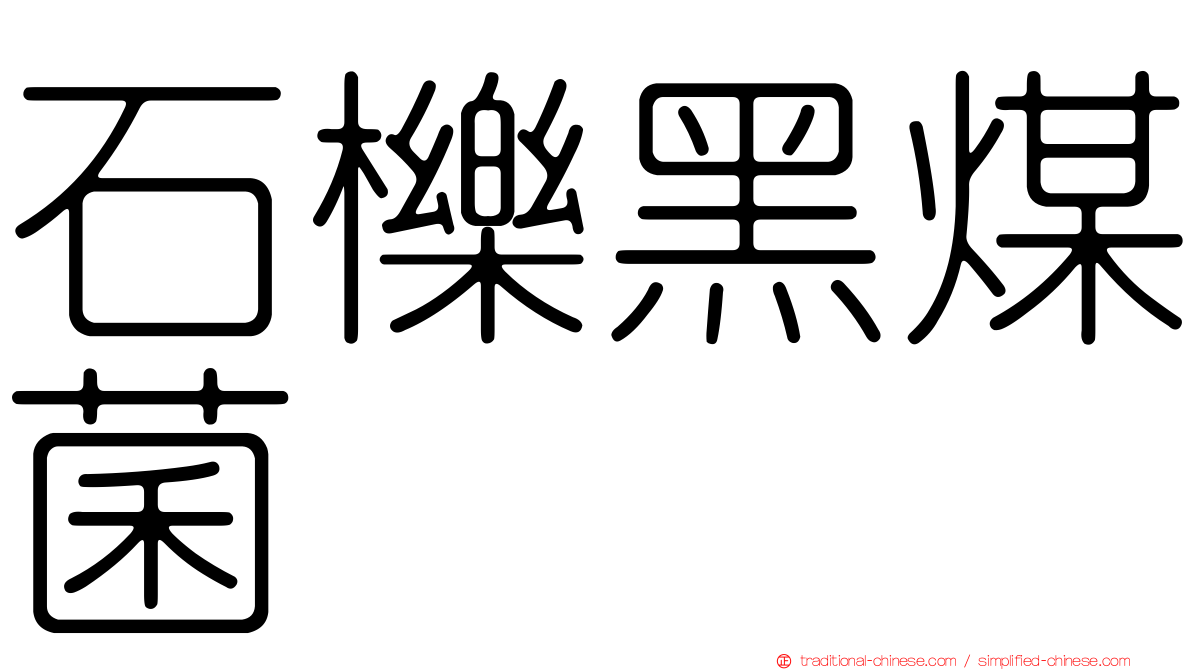 石櫟黑煤菌