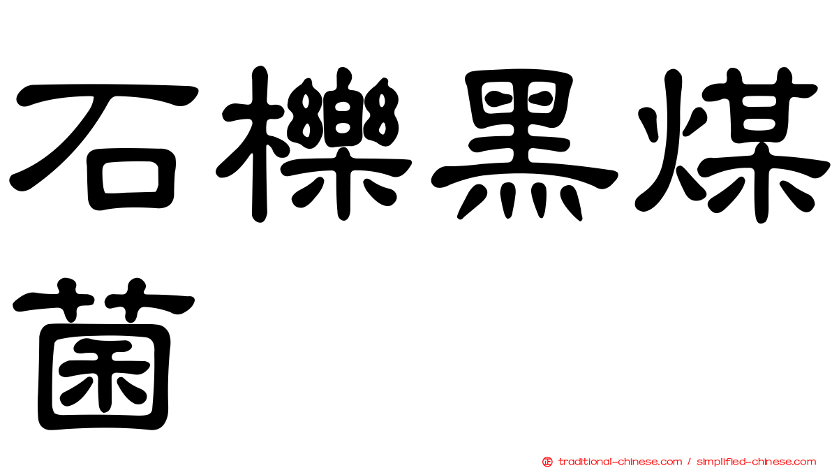 石櫟黑煤菌
