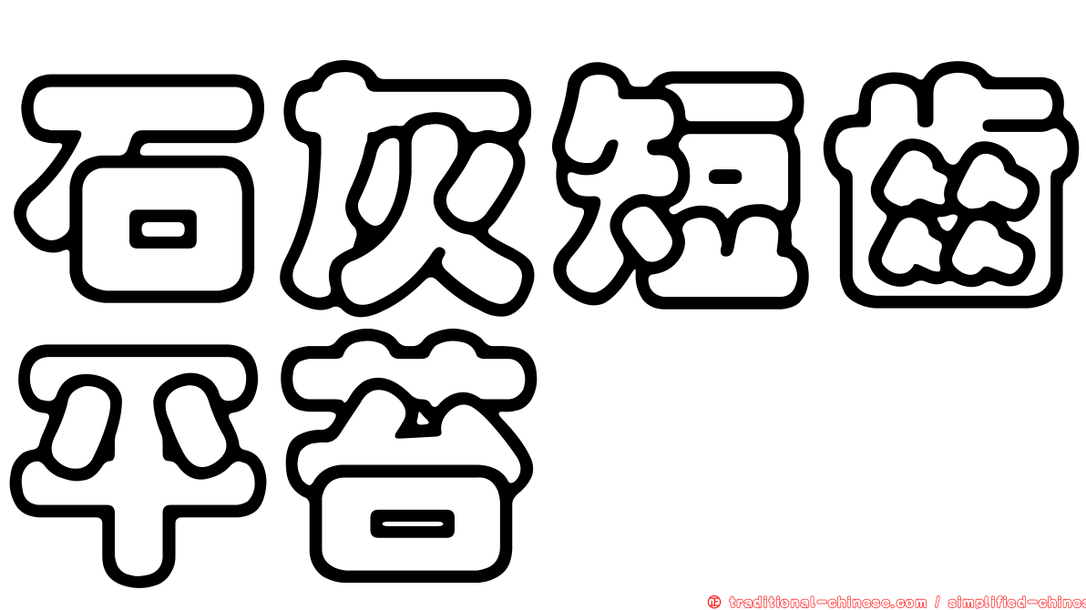 石灰短齒平苔
