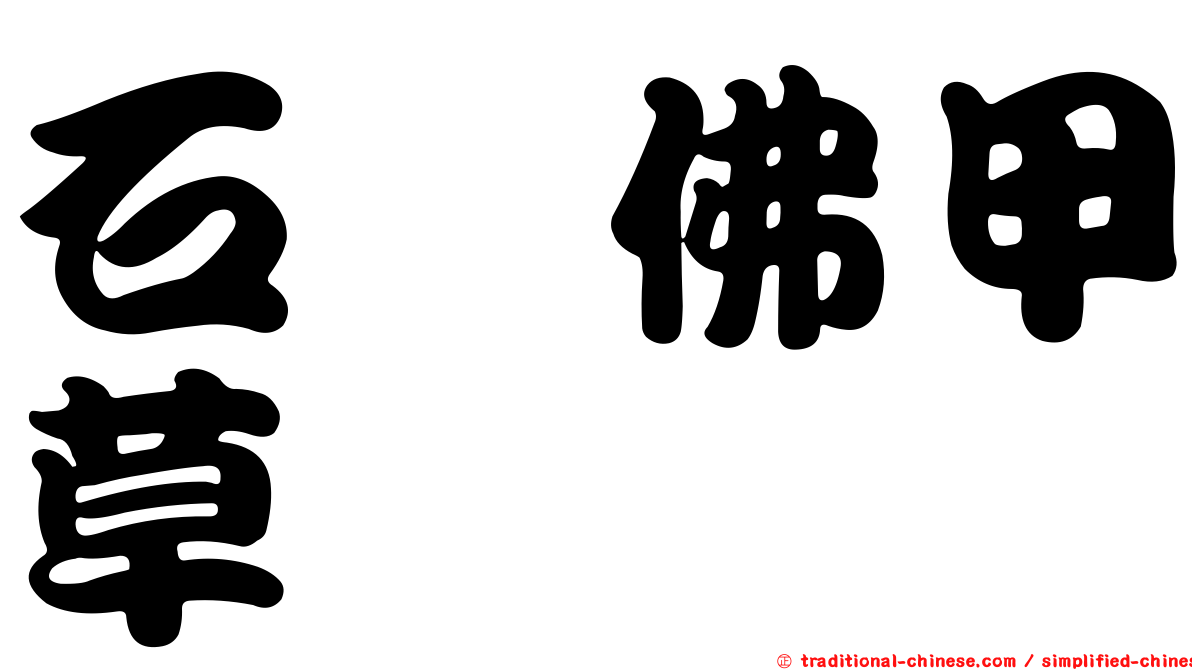 石碇佛甲草