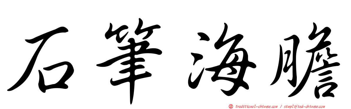 石筆海膽