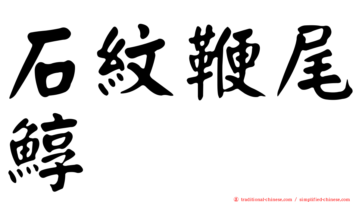 石紋鞭尾鯙