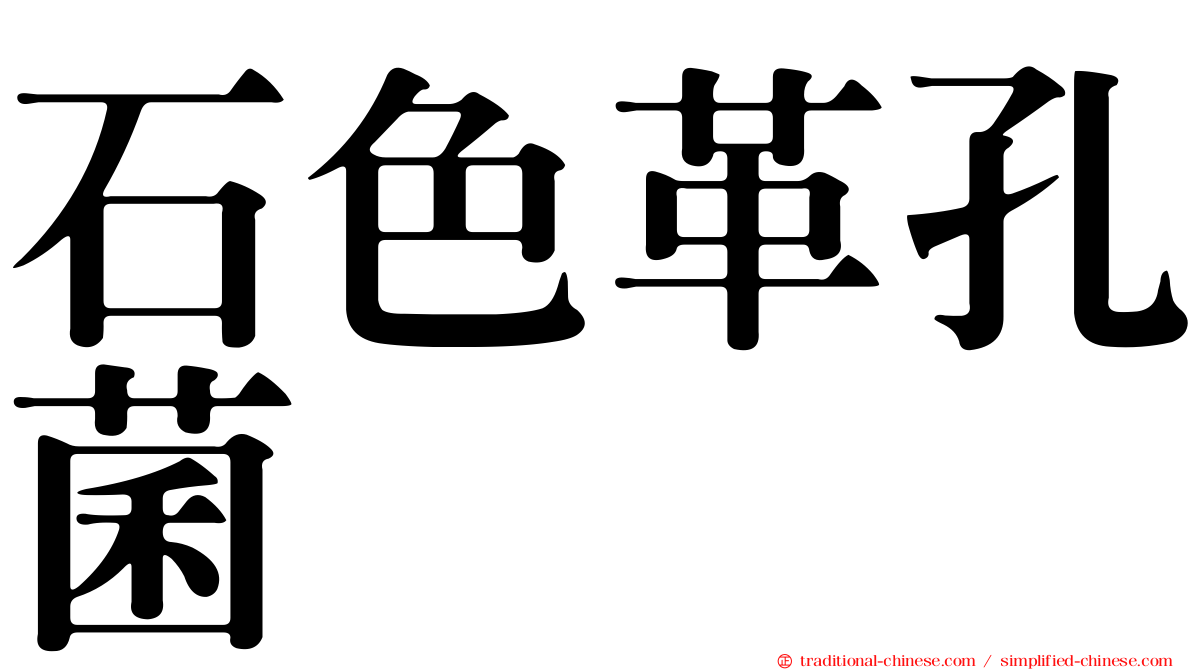 石色革孔菌