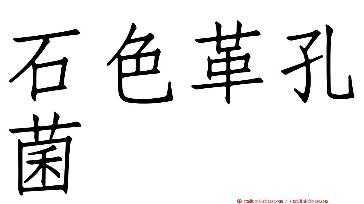 石色革孔菌