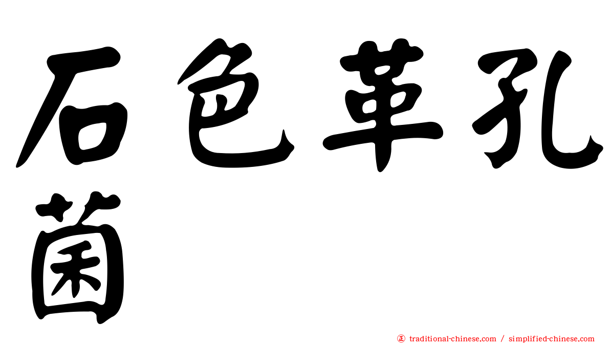 石色革孔菌