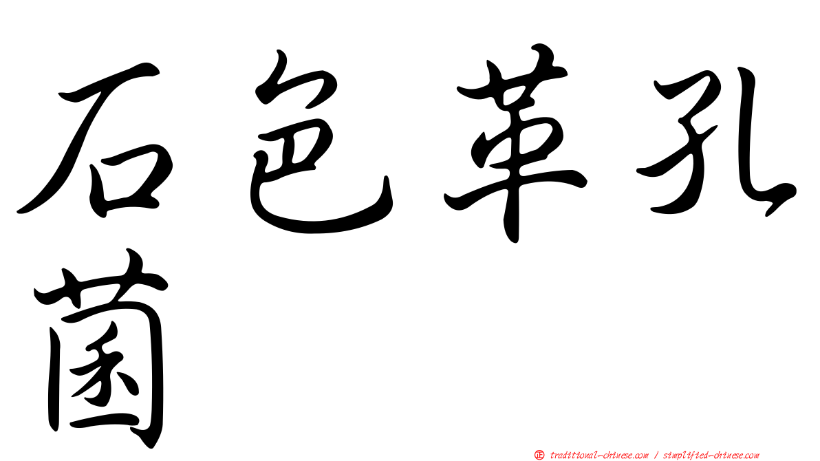石色革孔菌