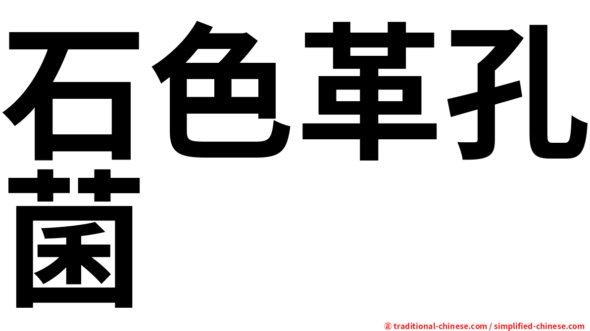 石色革孔菌
