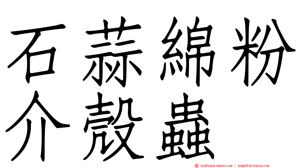 石蒜綿粉介殼蟲