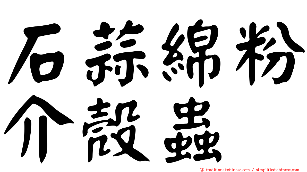 石蒜綿粉介殼蟲