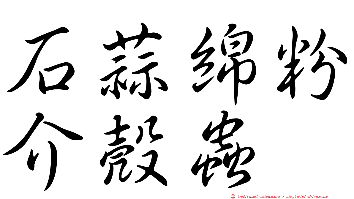 石蒜綿粉介殼蟲