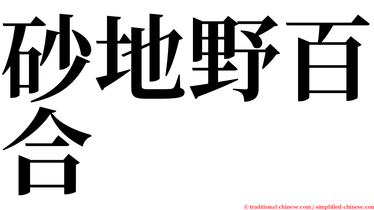 砂地野百合 serif font