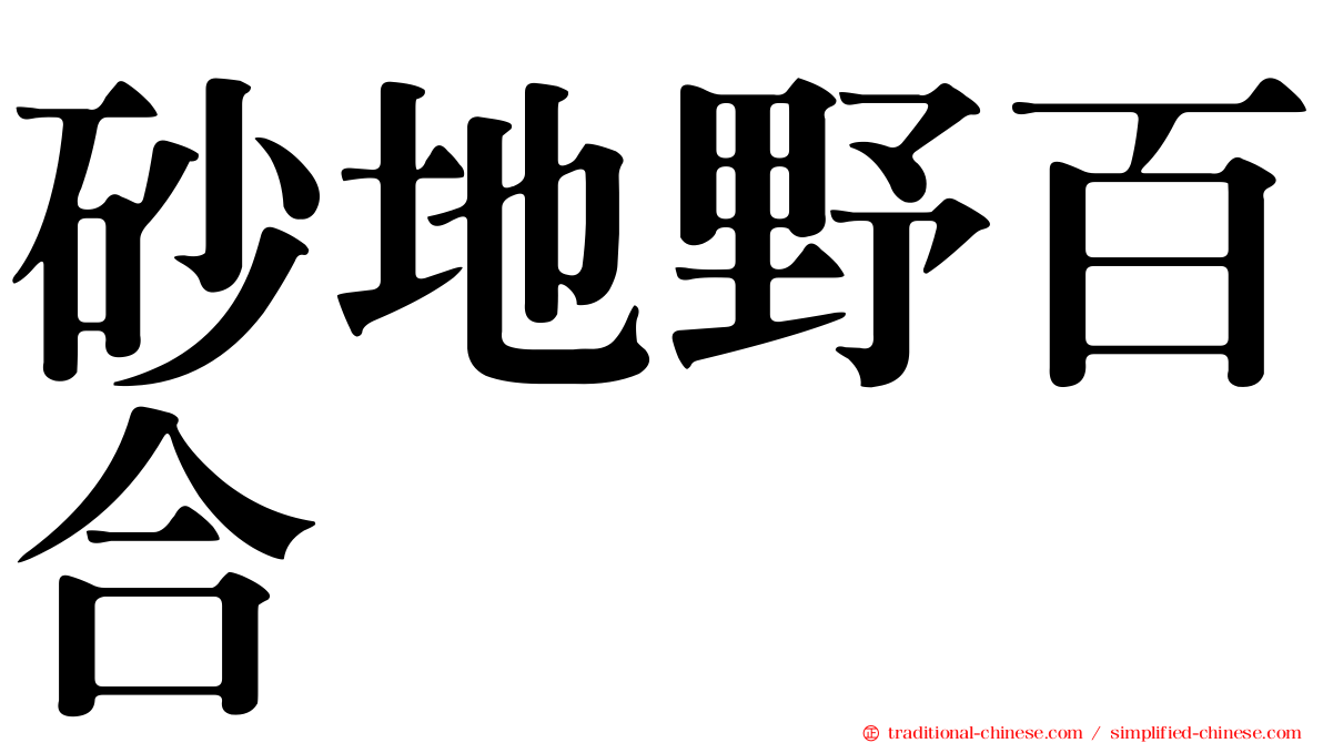 砂地野百合