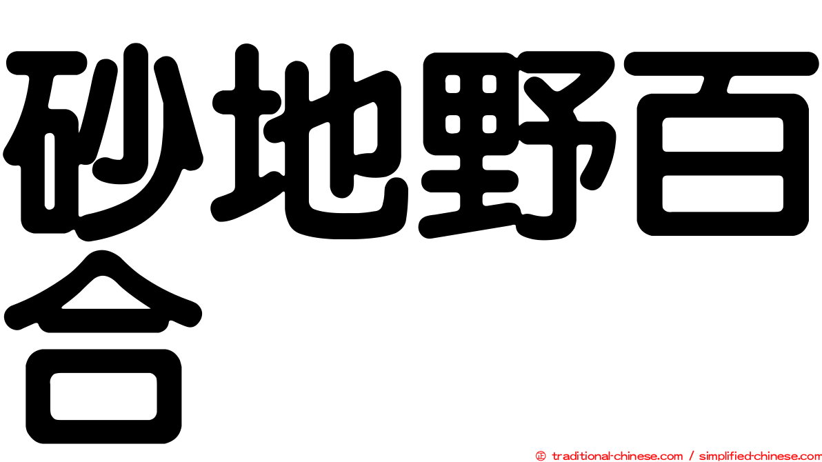 砂地野百合