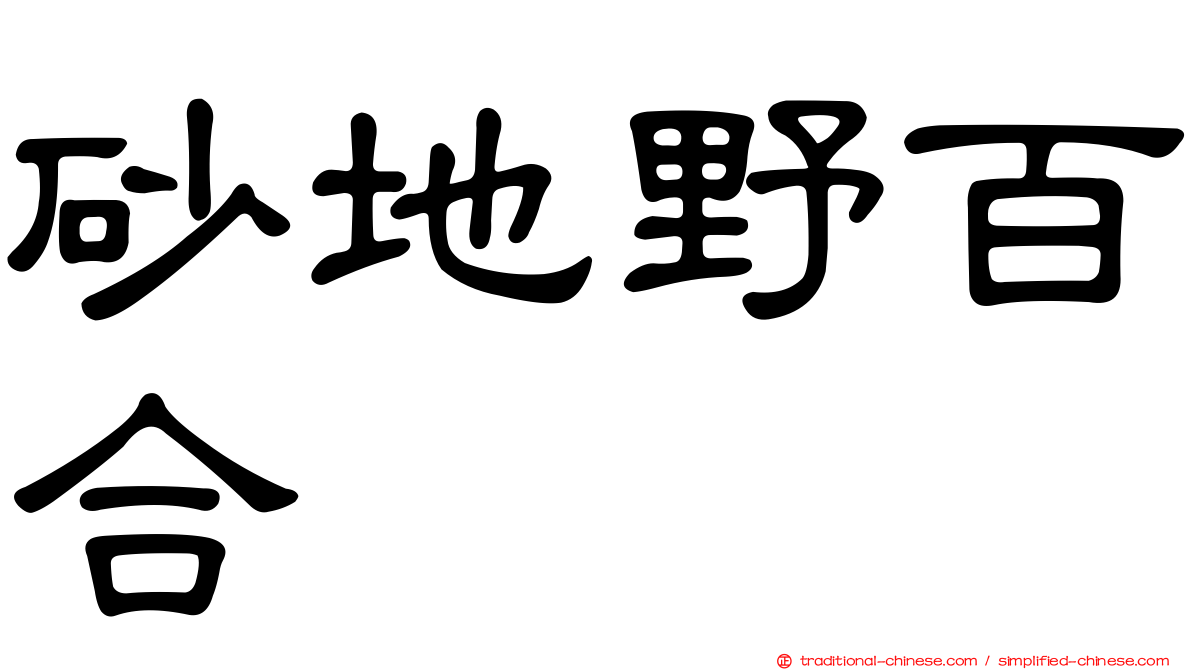 砂地野百合