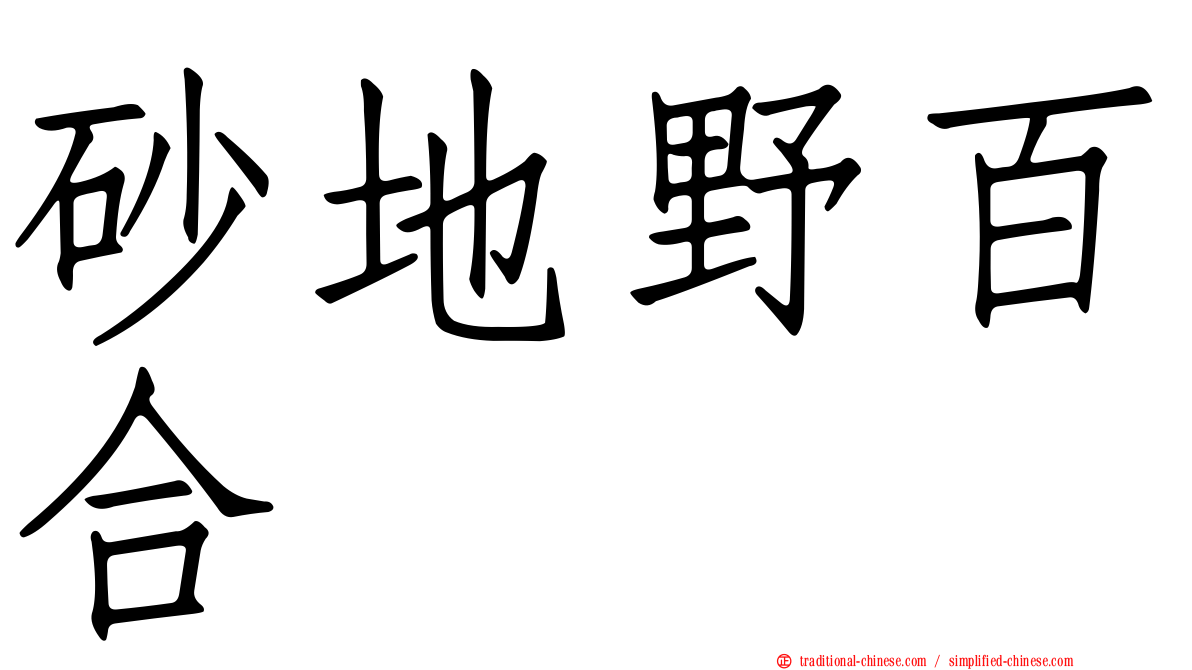 砂地野百合