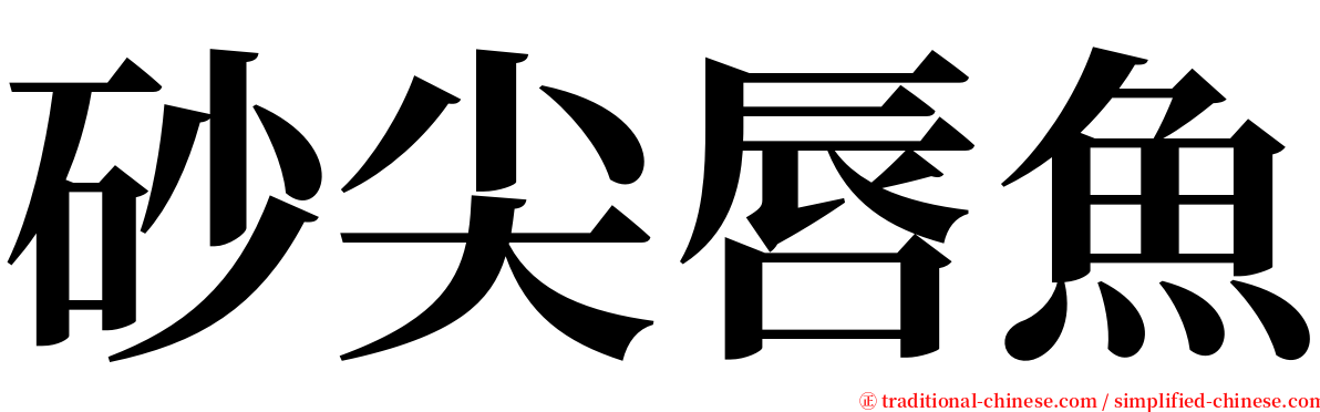 砂尖唇魚 serif font