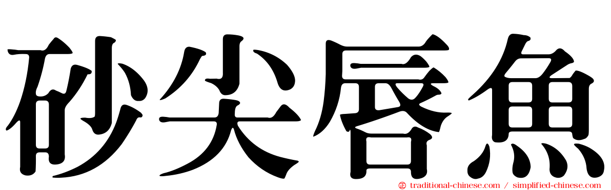 砂尖唇魚