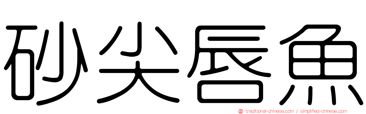 砂尖唇魚