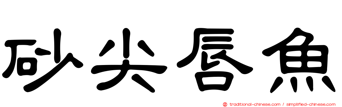 砂尖唇魚