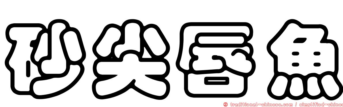 砂尖唇魚