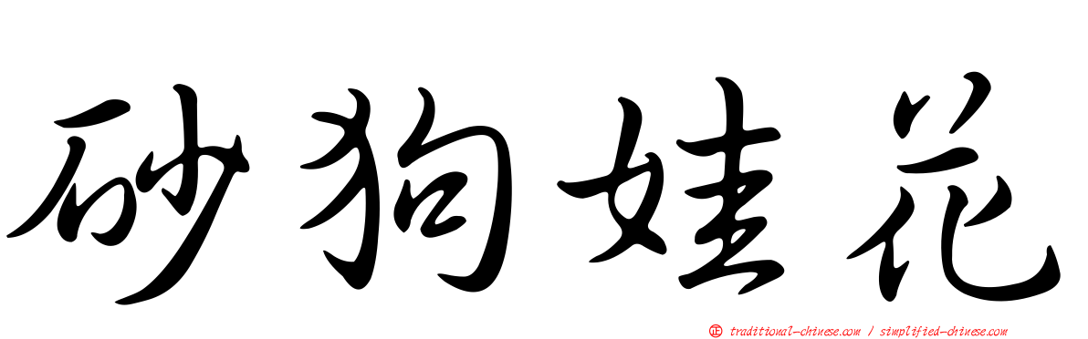 砂狗娃花
