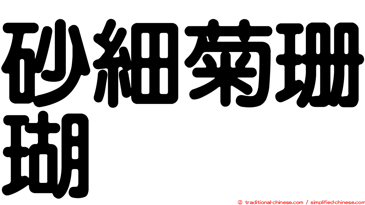 砂細菊珊瑚